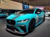 jaguaripaceetrophy_small.jpg