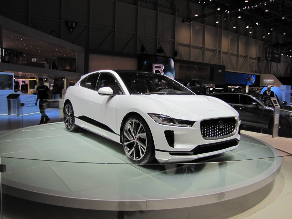jaguaripaceev4002.jpg