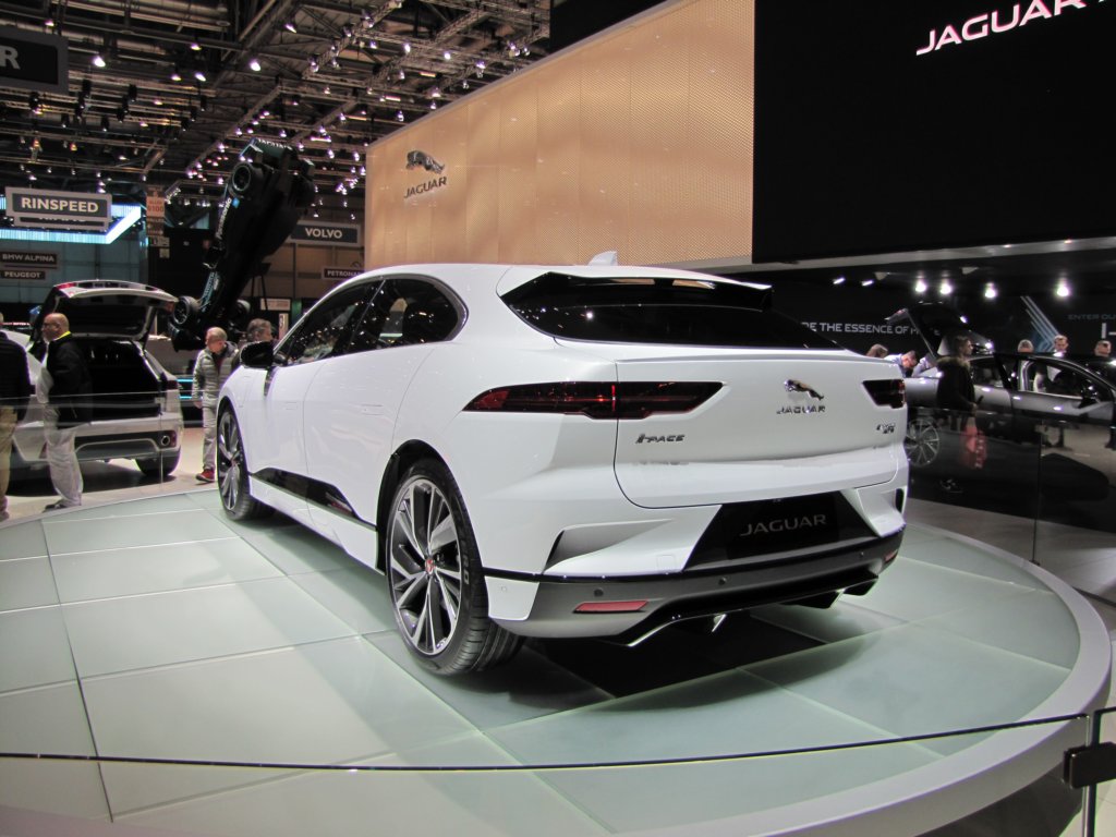 jaguaripaceev4004.jpg
