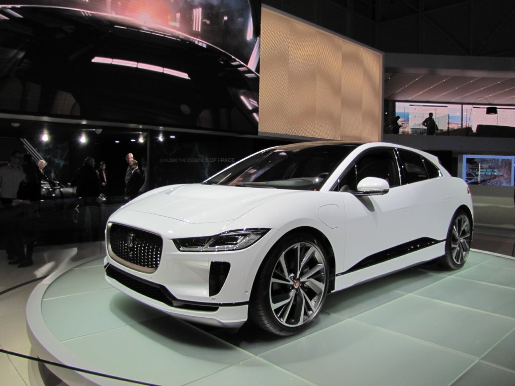 jaguaripaceev4005.jpg
