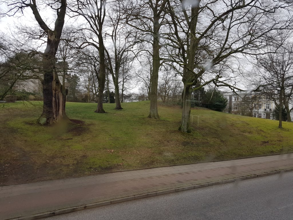 _121647.jpg