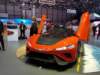 gfgkangaroo15_small.jpg
