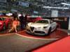 molecostruzioneartigianale001alfaromeo3_small.jpg