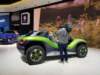 vwidbuggy2_small.jpg