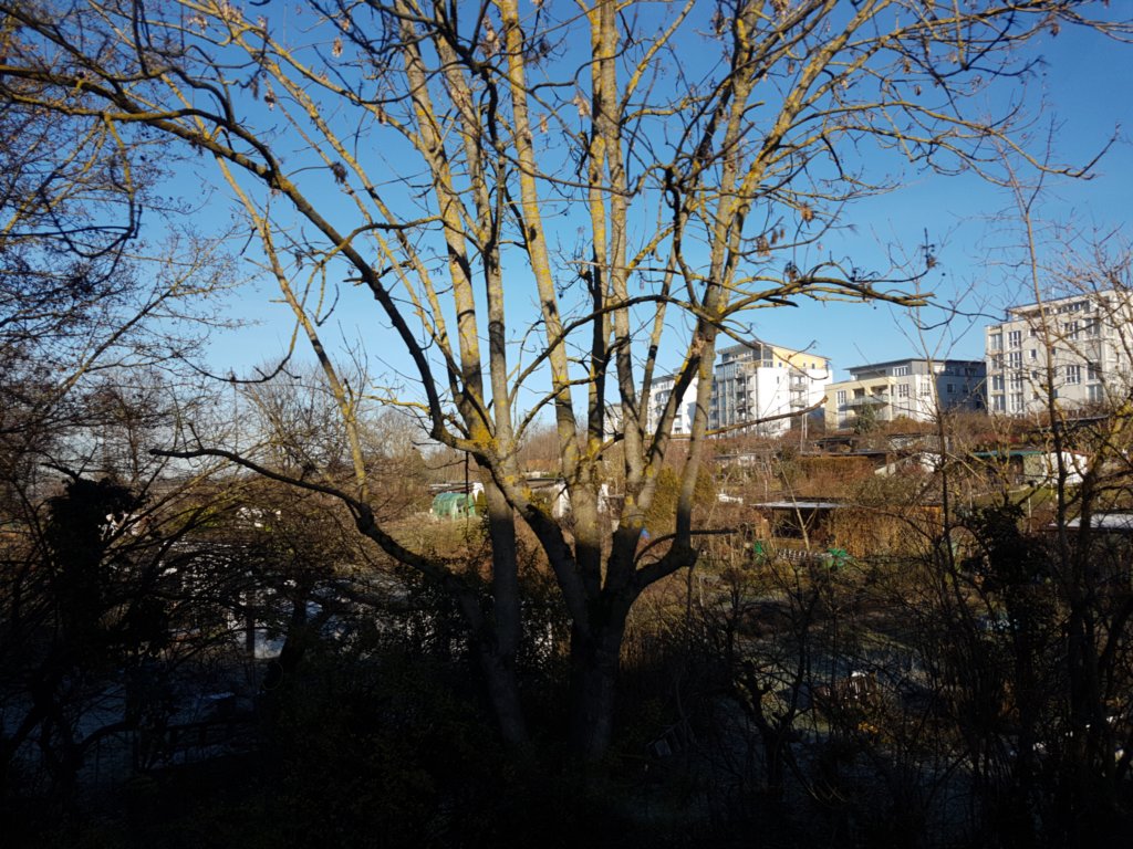 img_20191230_110909.jpg