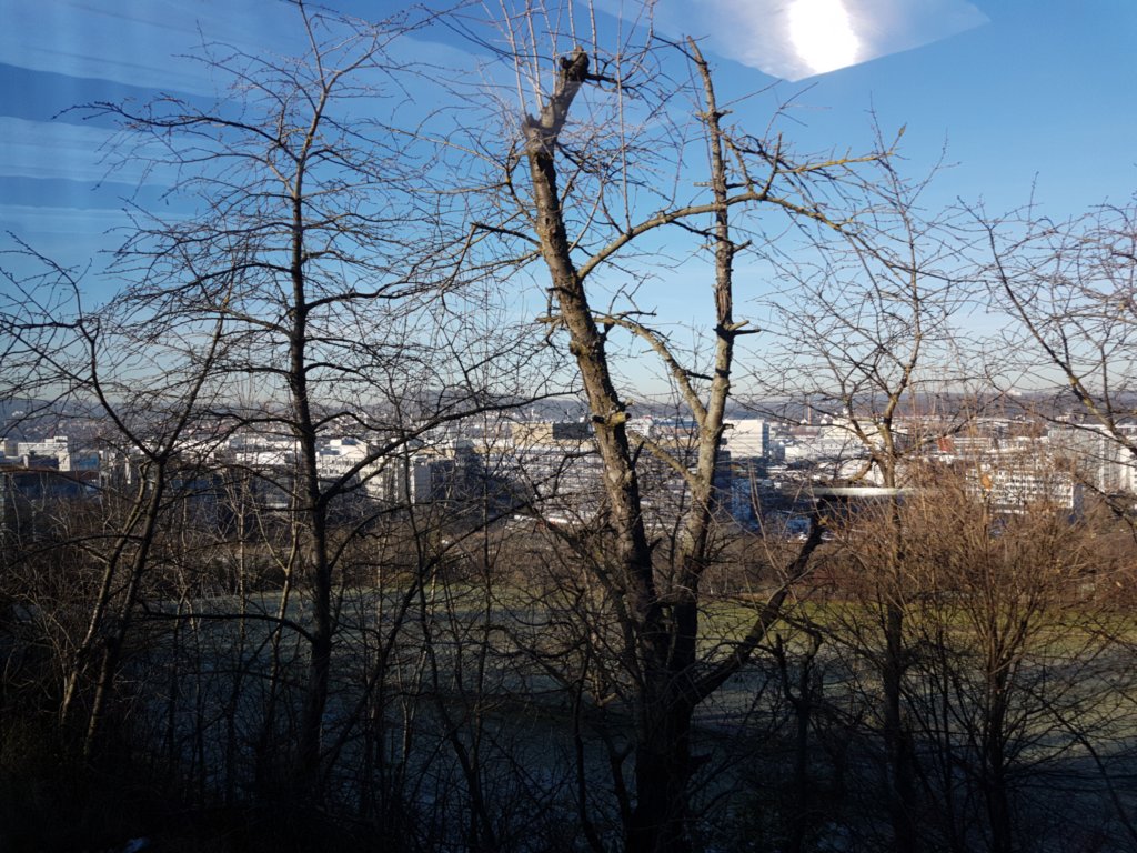 img_20191230_110933.jpg