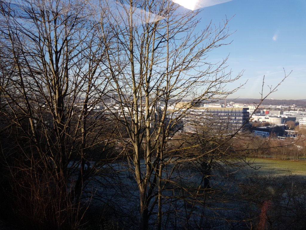 img_20191230_110938.jpg