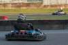 _z500558_small.jpg