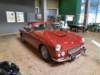 acgreyhound1964_small.jpg