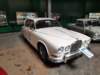 jaguar4201967_small.jpg