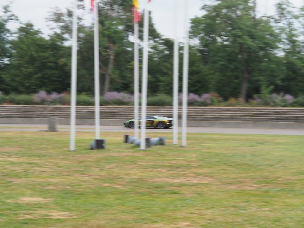 p9150837penf.jpg