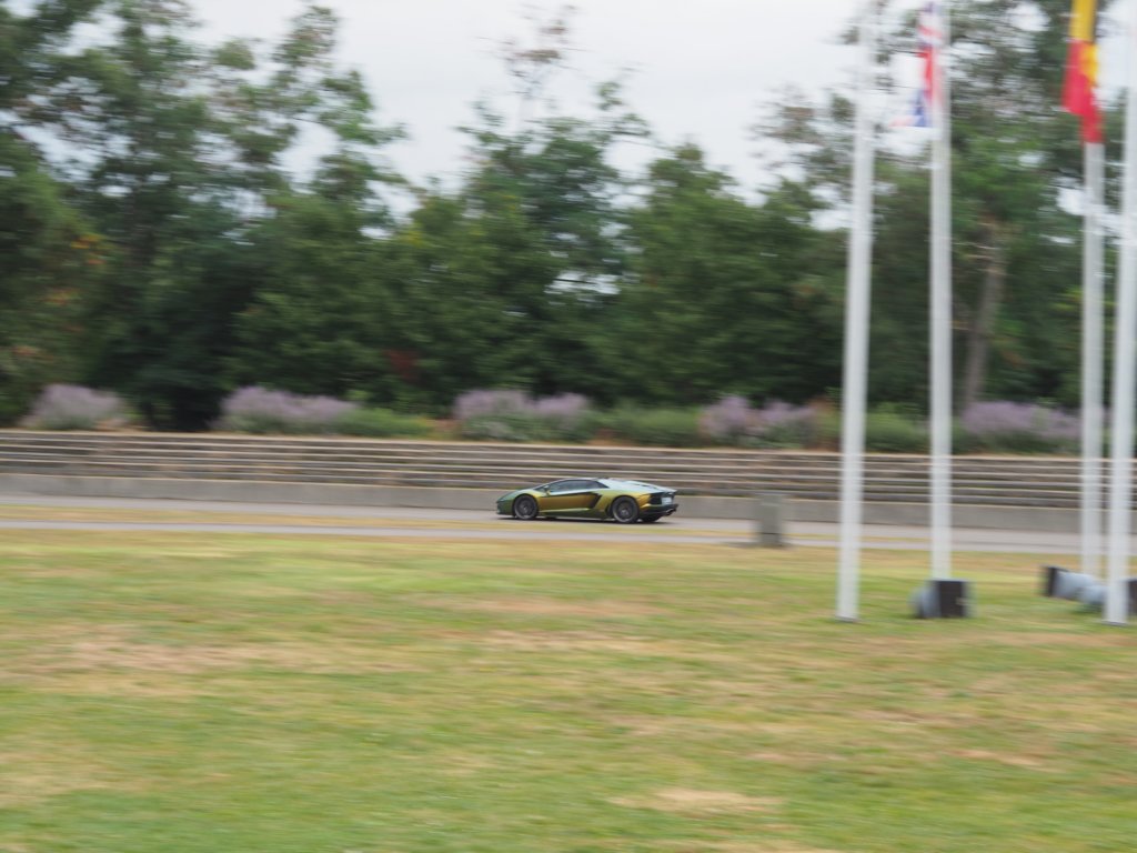 p9150841penf.jpg