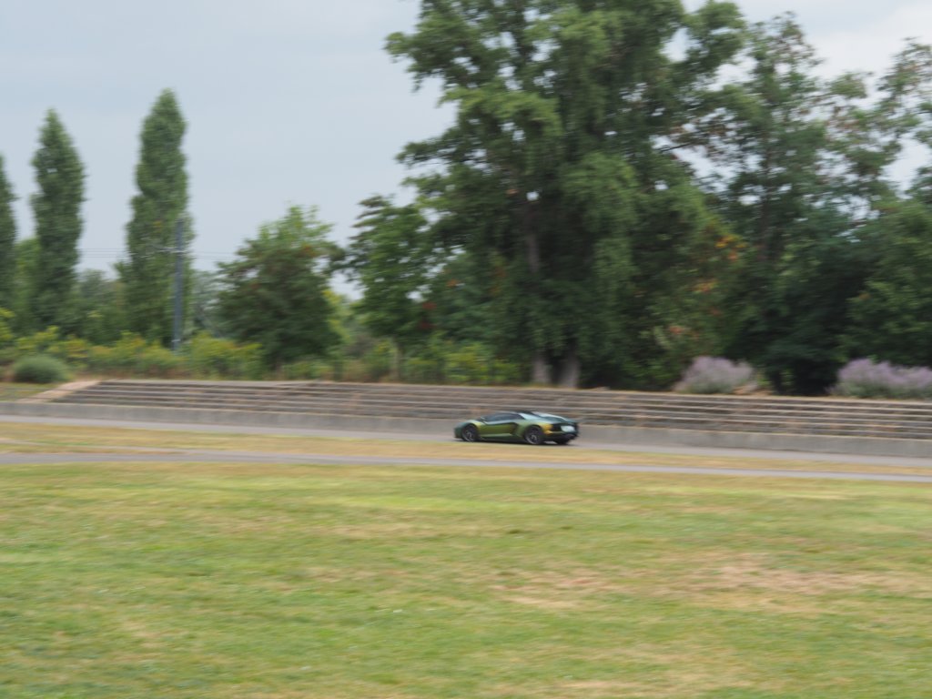 p9150847penf.jpg