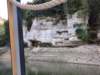 _101013_small.jpg