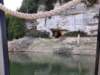 _101032_small.jpg