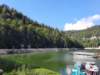 _102535_small.jpg