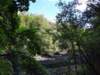 _102952_small.jpg