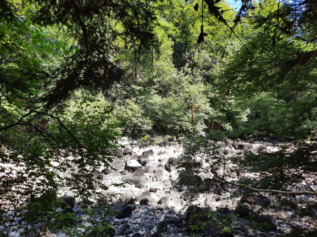 _103520.jpg