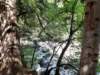_103534_small.jpg