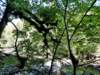 _103827_small.jpg