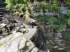 _104150_small.jpg