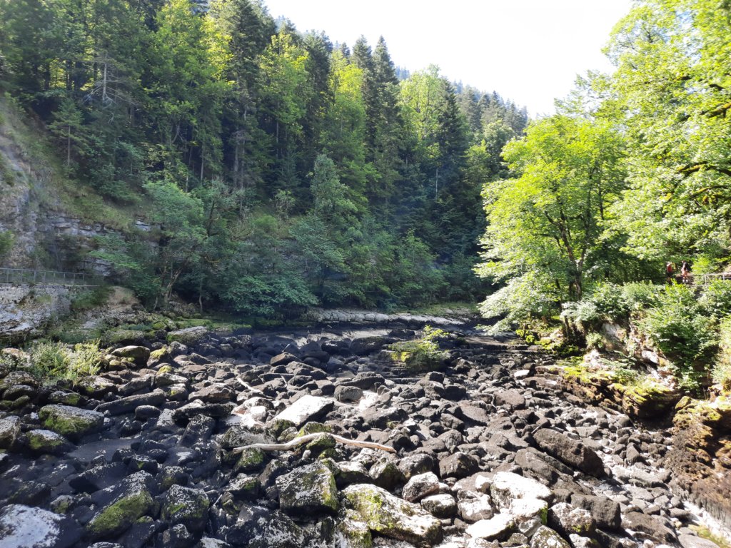_104209.jpg