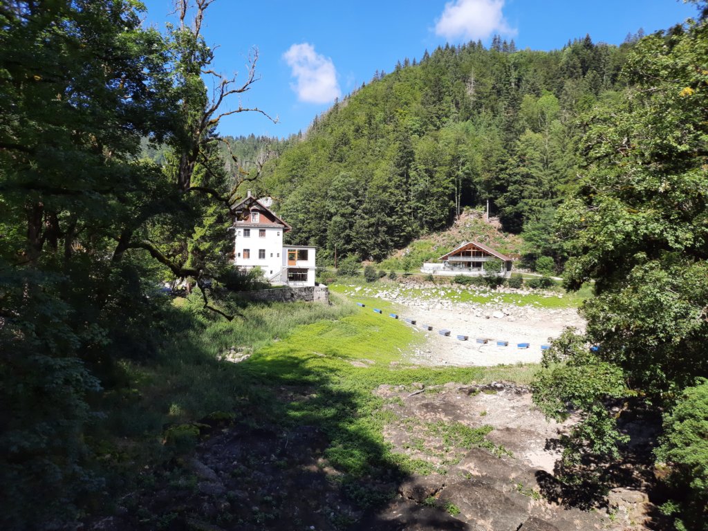 _105633.jpg
