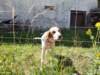 _110049_small.jpg
