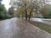 _102636_small.jpg