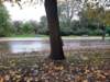 _102849_small.jpg