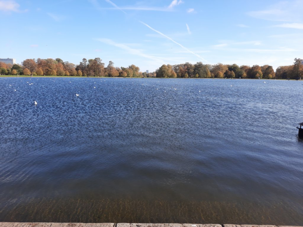 _104142.jpg