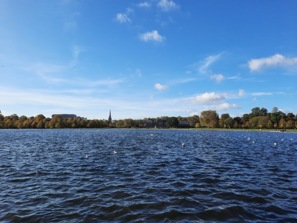 _104901.jpg