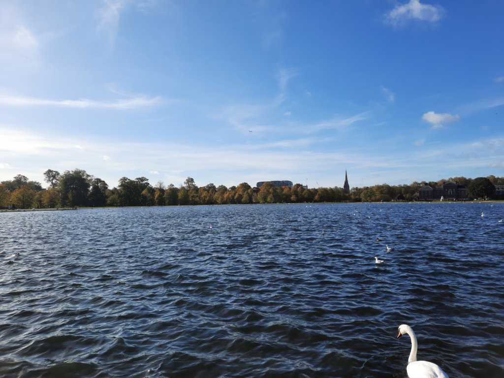 _104912.jpg