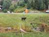 _094301_small.jpg