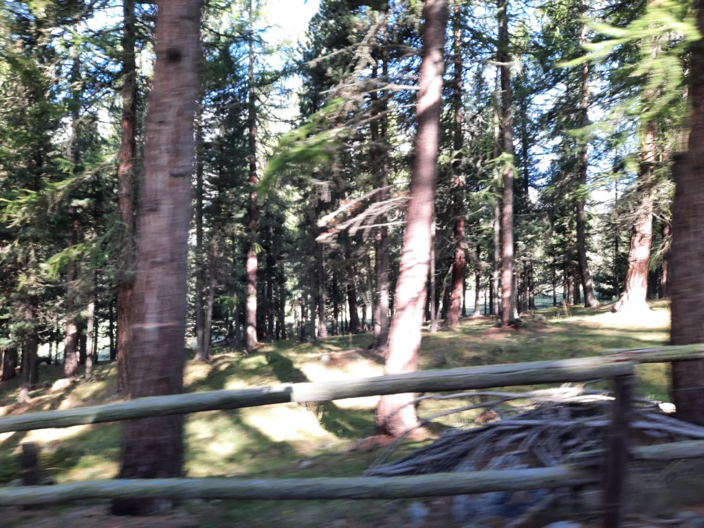 _094800.jpg