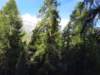 _094926_small.jpg