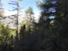 _094936_small.jpg