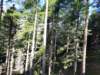 _095050_small.jpg