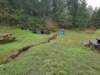 _100442_small.jpg