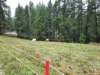 _100456_small.jpg
