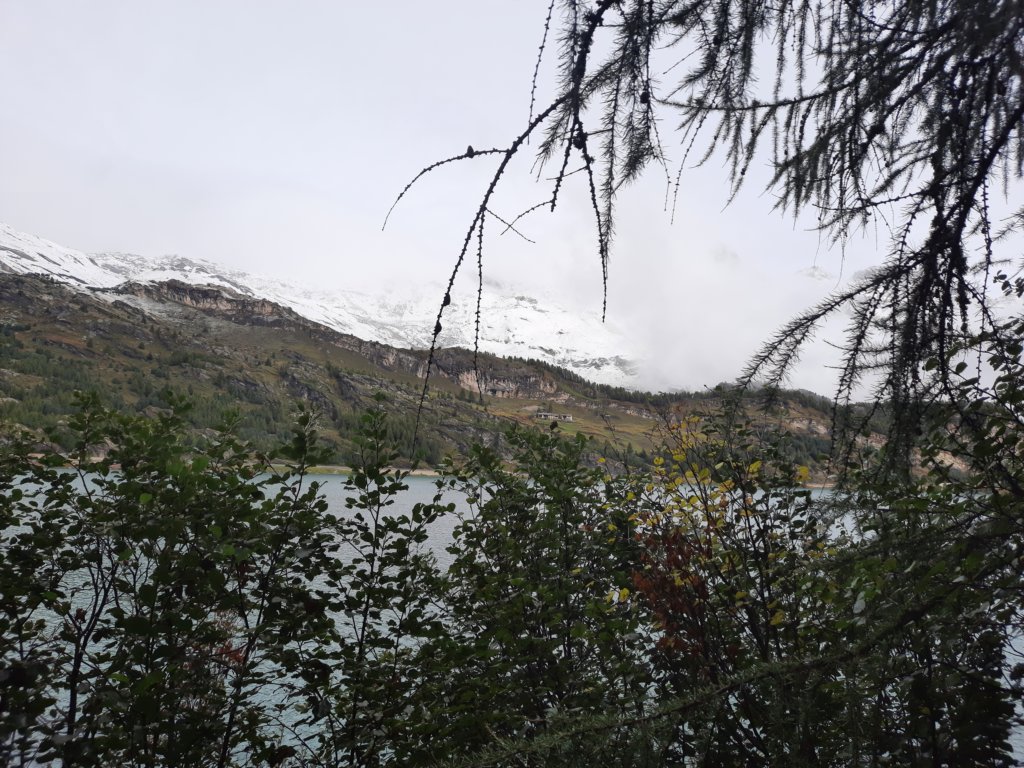 _1007562.jpg