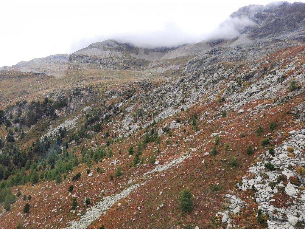 _100948.jpg