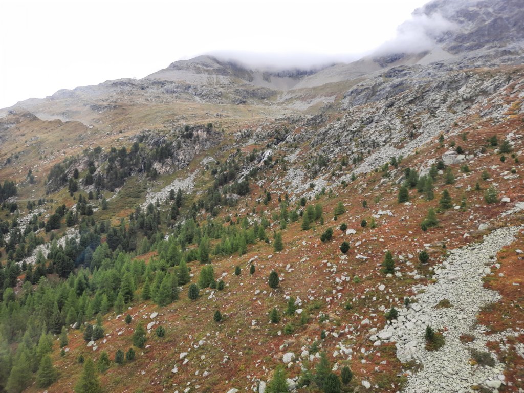 _100957.jpg
