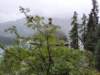 _1010242_small.jpg