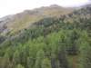 _101051_small.jpg