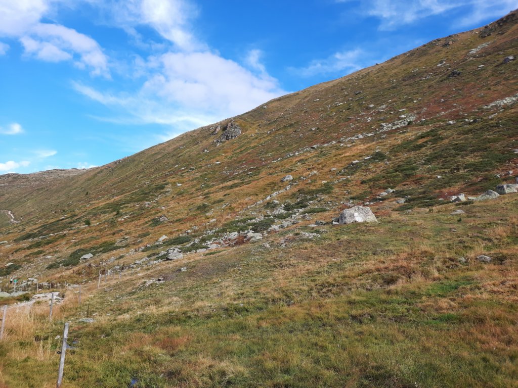 _104642.jpg