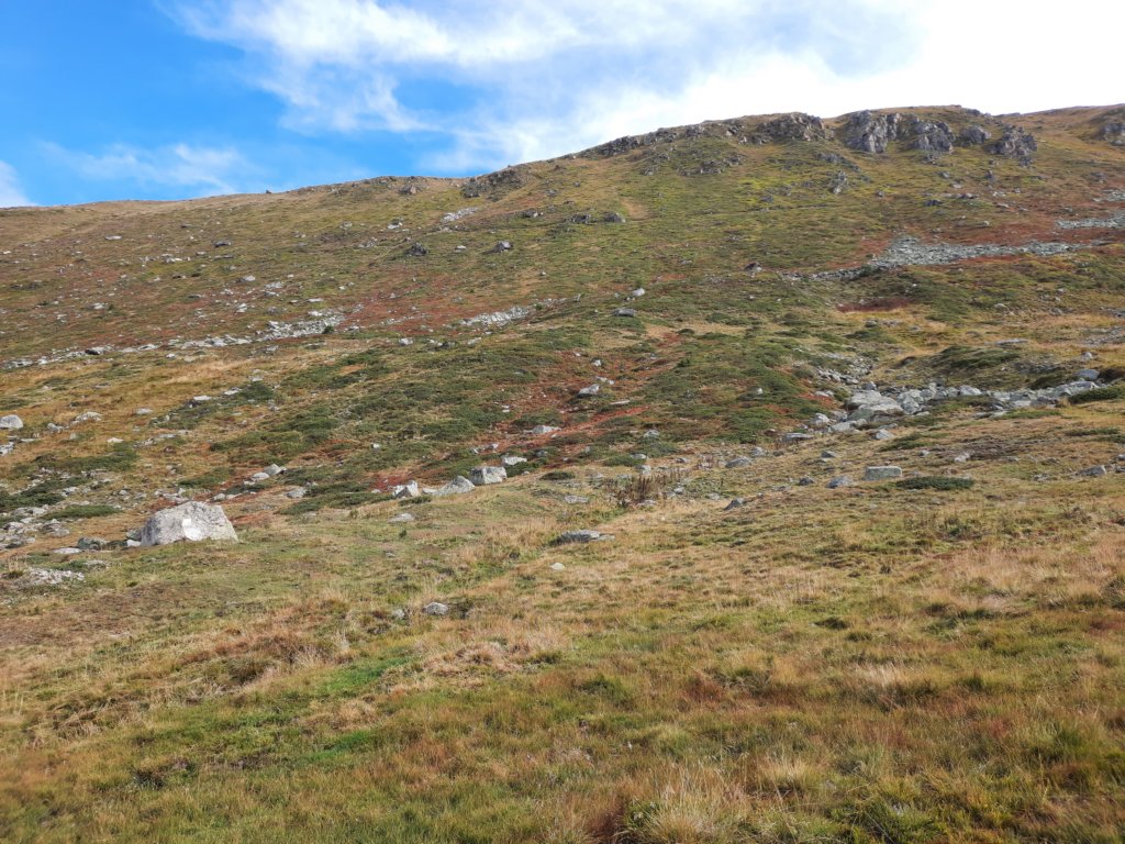 _104645.jpg