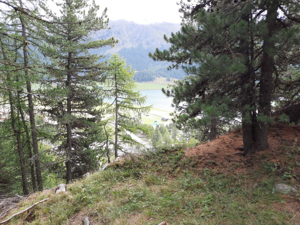 _105050.jpg