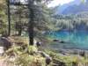 _105551_small.jpg