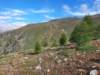 _111039_small.jpg